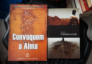 Obras Fernando Carvalho Rodrigues e Artur Simões