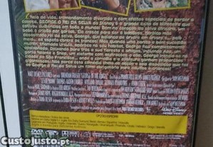imagem_8
