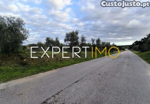 imagem_16