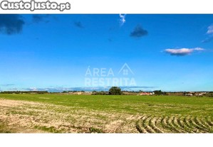 Terreno De 31250 M2 (3 Ha) - Faias (Palmela)