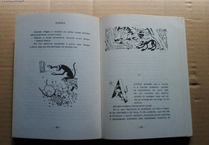 imagem_5