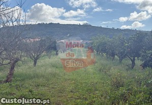 Excelente terreno urbano, com 7415 m2, na quinta do anjo, palmela
