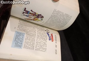 imagem_3