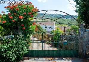 Quinta Encantadora T4 em Tabuao, Viseu
