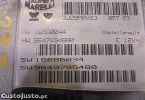 imagem_3