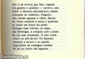 imagem_7