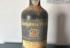 imagem_8
