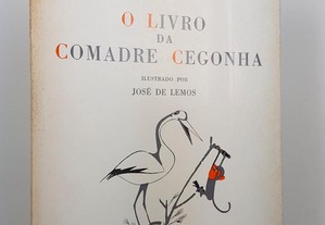 Patrícia Joyce // O Livro da Comadre Cegonha
