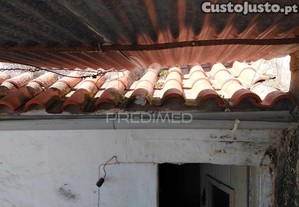 imagem_13