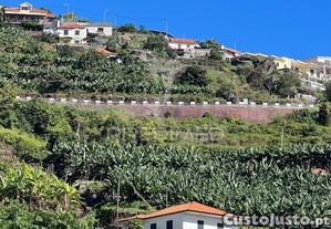 imagem_25