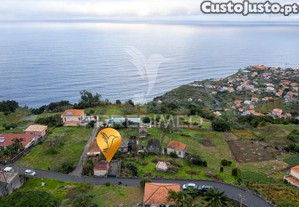 imagem_4