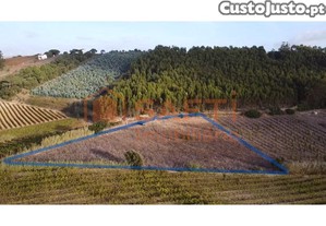Terreno Rustico