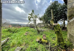 imagem_12