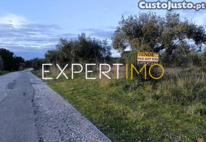 imagem_24
