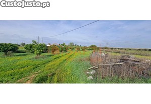 Terreno (10175 M2) No Alentejo Com Água E Luz