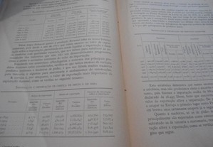 imagem_8