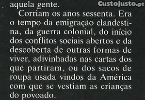 imagem_7
