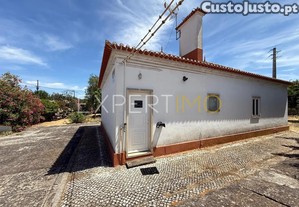 imagem_7