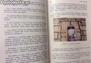 imagem_6