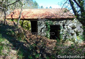imagem_27