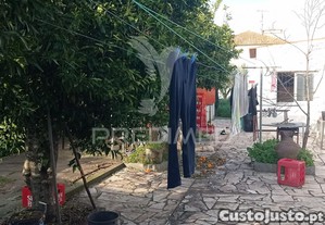 imagem_15