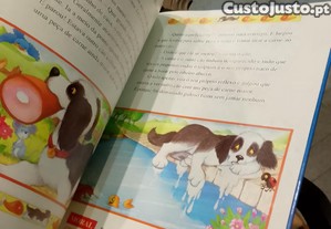 imagem_5