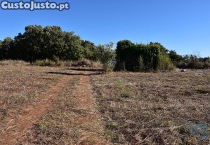 Terreno para construo em Areias e Pias de 8120,00 m