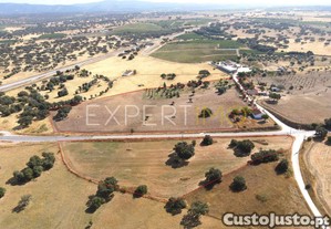 Monte Alentejano com 3,91 hectares - 4 km da Vila de Redondo