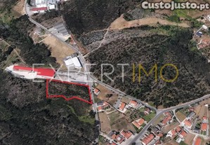imagem_3