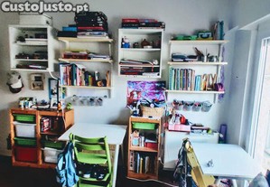 imagem_19