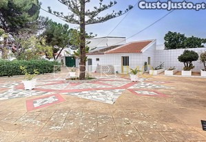imagem_24