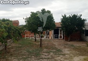 imagem_25