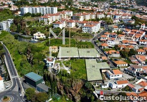 imagem_5