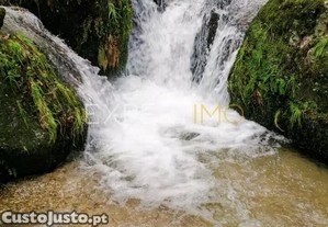 imagem_11