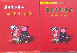 Arte Chinesa Livro Impecável
