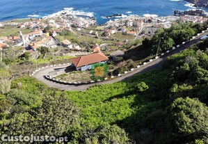 imagem_11