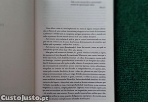 imagem_7