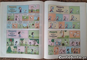 imagem_7