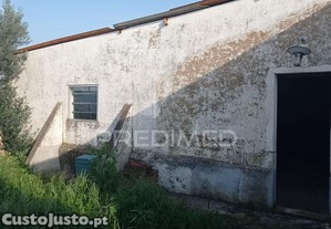 imagem_18