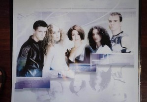 imagem_11