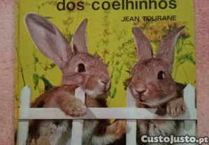 imagem_1