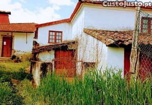imagem_8