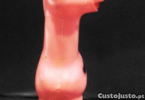 imagem_5