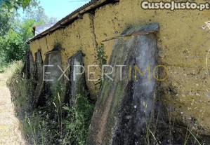 imagem_13