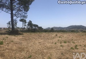 imagem_6