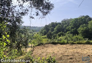 Terreno em São Cipriano e Vil de Souto de 1670,00 m²