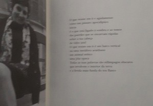 imagem_7