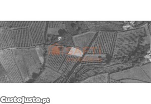 Terreno Não Construtivo Com 320 M2