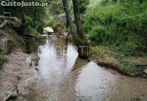 imagem_12