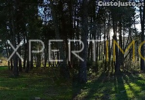 imagem_25